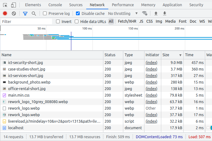 Figure 1. Network tab screenshot before optimization